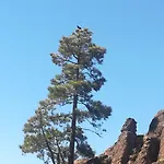 Σπίτι διακοπών Casa El Pino *