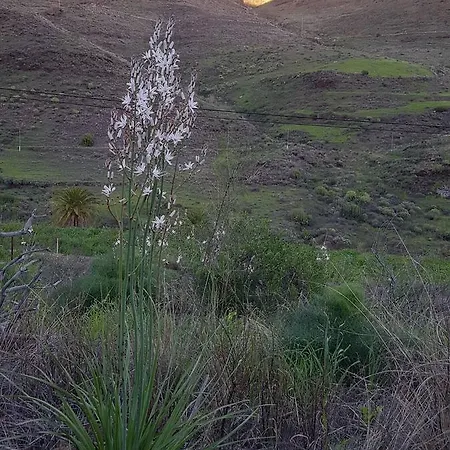 Casa El Pino Mogan